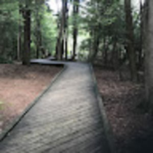 Meet your Posher, Kreathe